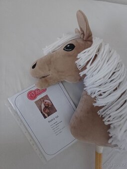 HOBBY HORSE - 3