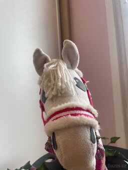 hobby horse - 3