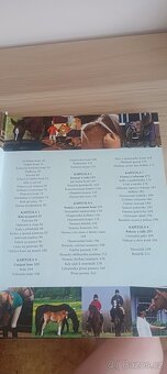 Kniha Já Kůň – Colin Vogel - 3