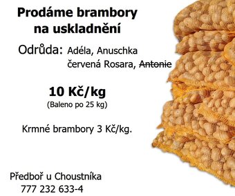 Konzumni brambory na uskladneni - 3