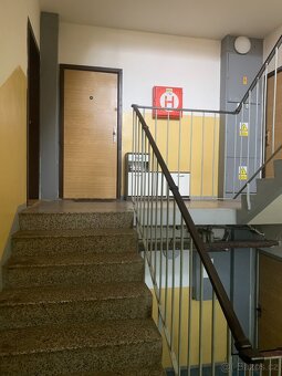 Byt 1+1 v Lázně Kynžvart - 3