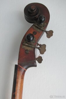 Krk kontrabasu a struník - 3