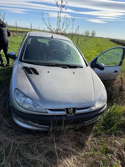 Peugeot 206 - 3