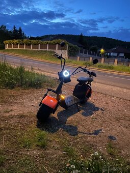 Eco wheel Chopper - 3