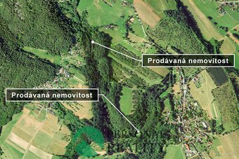 Prodej lesy, 6 901 m2 - Loučky  u Turnova, ev.č. 01900 - 3