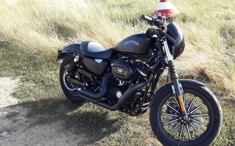 Harley Davidson Iron Sportster 883 - 3