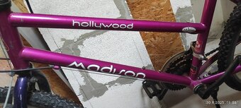Madison Hollywood - 3