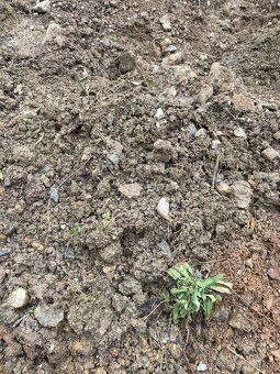 Zemina z výkopu - 3