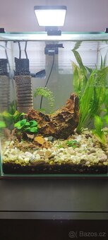 Aquaria a příslušenství - 3