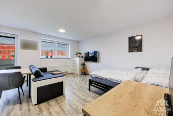 Pronájem bytu 1+kk, 41 m², Uherské Hradiště - Hrušková - 3