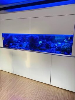Mořské akvárium 550l plus filtrace- prodám - 3