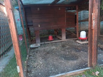 Zateplený kurník pro 8-10 slepic + oplocený výběh cca 25m2 - 3