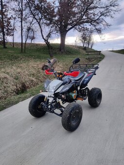 Čtyřkolka Bashan BS200s-7 - 3