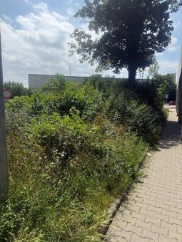 Zemina s odvozem na zasypání - zaplatím za vytěžení a odvoz - 3