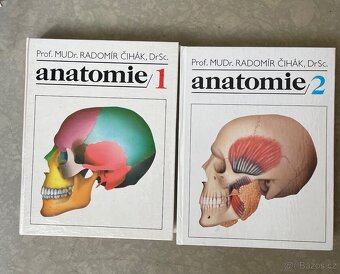 Anatomie 1,2dil - 3