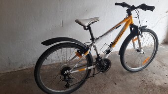 Author  A-Matrix 13" - 3