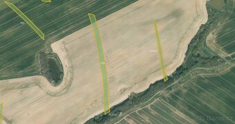 Zemědělská půda, prodej, Vlastiboř, Tábor - 3