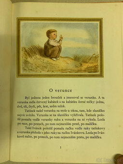 Kniha - Ivánek - 3