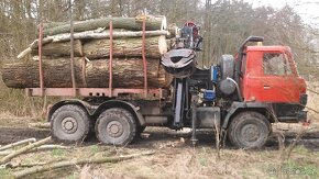 nejlevnevnejsi palivove drevo kulatina,doprava zdarma - 3