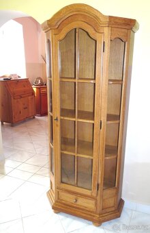 rustikální univerzální jednodveřový skleník/knihovna - 3