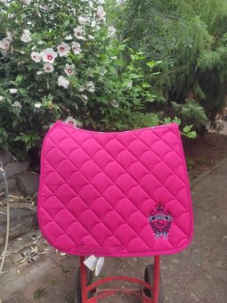 Drezurní DL dečky, mnoho kusů - 3