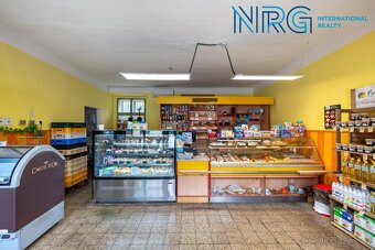 Prodej rodinného domu s obchodním prostorem, 431 m2, Pečky - 3