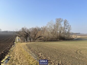 Pronájem rybník, 6 501 m2 - Bystročice - 3