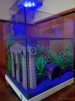 Akvárium/betarium 9l - 3