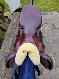 Prestige M.Robert - 3