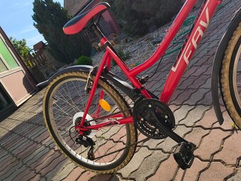 24" FAV bike junior - 3