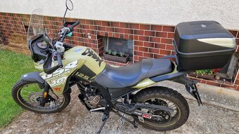 UM DSR ADVENTURE TT 125 ccm - 3