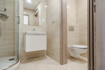 Prodej bytu 1+kk Novgorodská / Petrohradská Praha Vršovice - 3