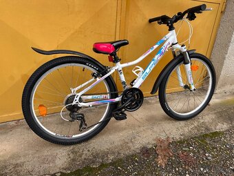 Superior Paint 24 dětské kolo s páčkovým řazením - 3