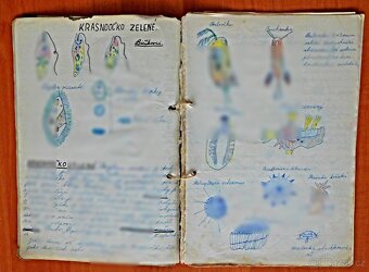Libor Vojkůvka-malířův škol.sešit zoologie ze 6. A ,rok 1959 - 3