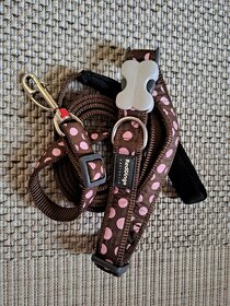 2x Obojek a vodítko  Red Dingo - 3