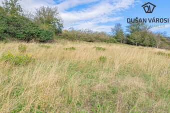 Louka o rozloze 5 743m2 v KÚ Města Albrechtice - 3