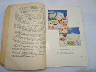 Kuchařka VITELLO , stáří ca 90 let . - 3