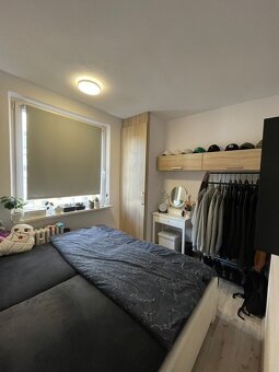 Pronájem bytu 2+1 v Letohradě - 3