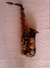 SAXAFÓN Alt farebný - 3