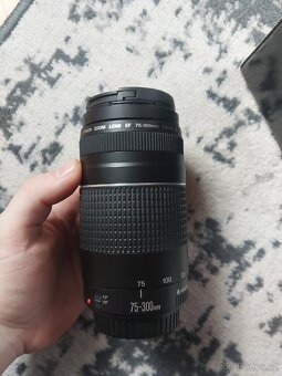 Canon EOS 2000D Travel Kit + Teleobjektiv - 3