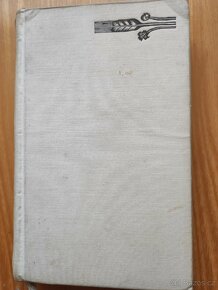 Knihy Defilé a Profesionální žena - 3