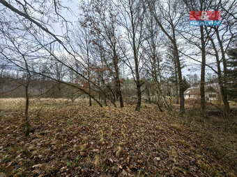 Prodej louky, 629 m², Borohrádek - 3