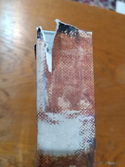 Kniha Antonín Slavíček autor: Jan Tomeš - 3