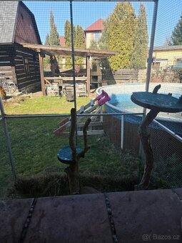Venkovní voliera pro kočky - 3