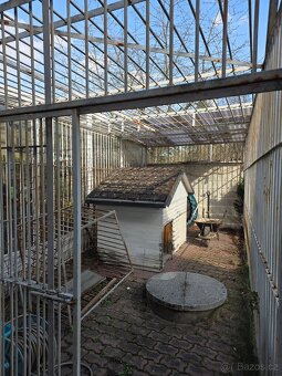 Klec-kotec pro psa - 3