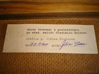 OBRAZ - VLADIMÍR ŠOLTA- - 3