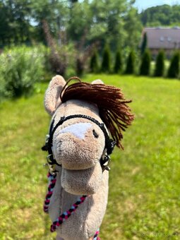 Hobby horse - 3