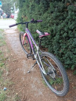 Dětské kolo Rock Machine Thunder 24 - 3