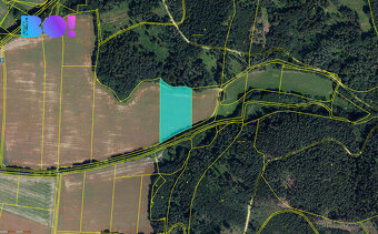 Prodej pole, 61919 m², Plinkout - 3