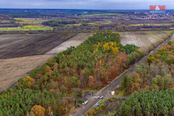 Prodej lesa, 6436 m², Lysá nad Labem - 3